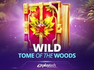 Wild Tome Of The Woods game cover
