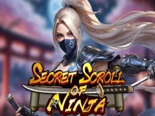 Secret Scroll Of Ninja game cover